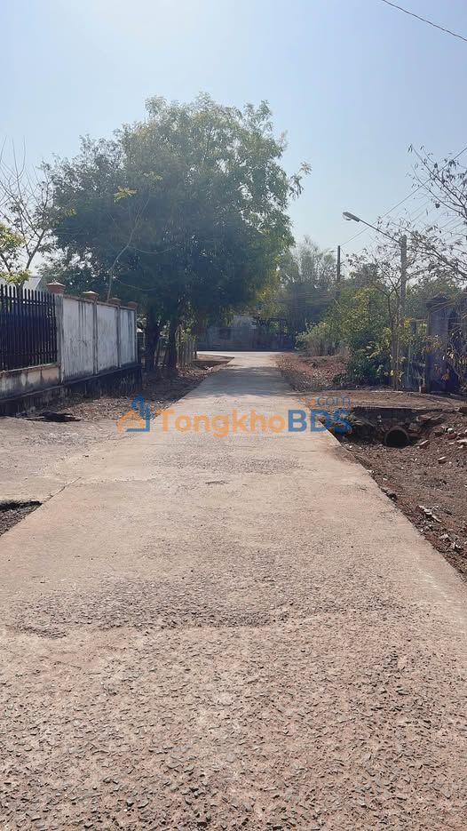 Bán gấp 1.3ha đất mặt tiền bê tông Lộc Ninh, Bình Phước - Giá 1.4 tỷ