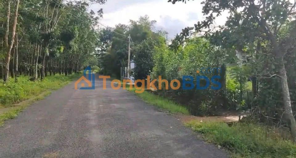 Bán đất farm 9700m² mặt tiền nhựa Lộc Ninh - Đầu tư sinh lời