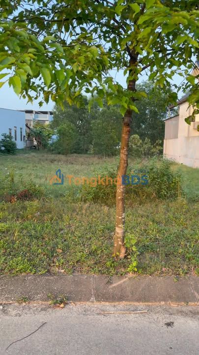 Đất nền mặt tiền Bùi Dục Tài, Hải Lăng - 249m² full thổ cư, giá 3.x tỷ