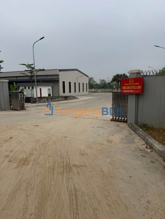 Đất nền Tuyên Quang 220m² - Đường ô tô vào tận đất, giá 2 tỷ