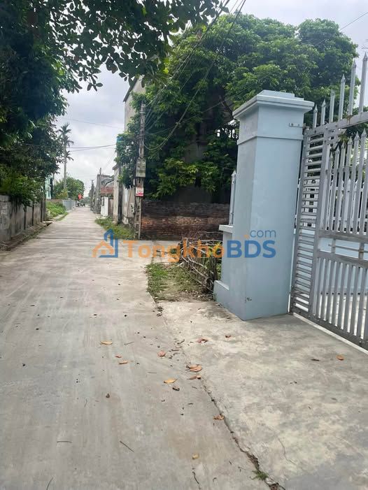 Đất nền 100m² Xuân Trì, Ninh Giang - Đường ô tô tránh, giá tốt