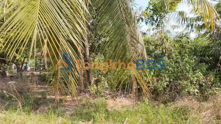 Đất Nền Gò Cát Tây Ninh 120m² Giá 179 Triệu - Sổ Hồng Full Thổ Cư