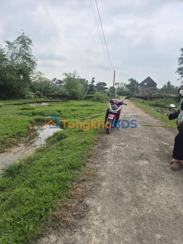 Bán Đất Vàng Xã Cẩm Lạc, Cẩm Xuyên, Hà Tĩnh - 337m² Sẵn Sổ Đỏ