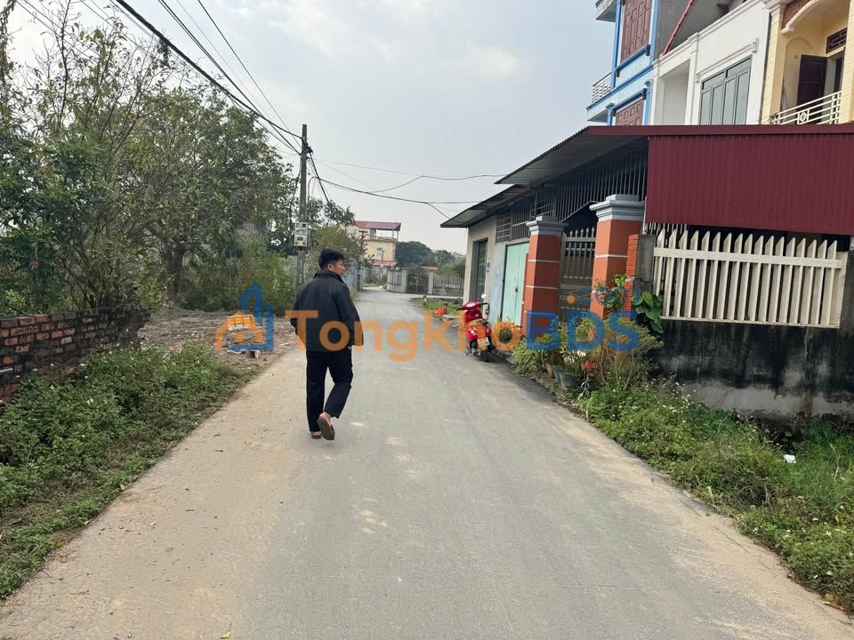 Đất Lương Xá, Lương Tài, Bắc Ninh - 270m² - Cắt Lỗ Sâu