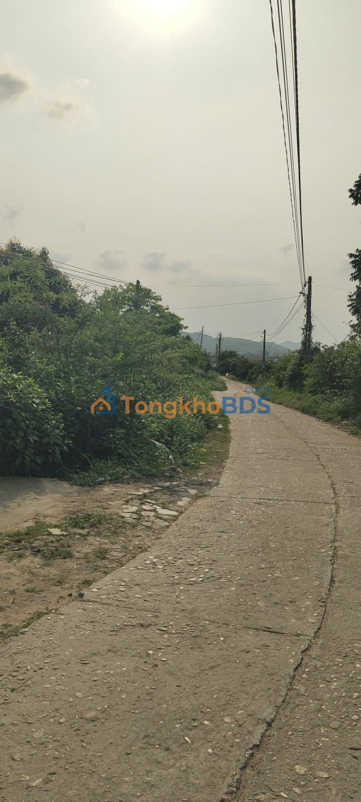 Đất Vườn Lục Ngạn, Bắc Ninh 3400m² - Hơn 1 Tỷ, Bám Suối, Tiềm Năng Sinh Lời