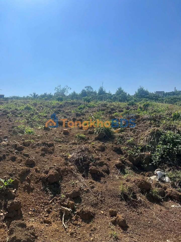 Đất 1444m² Hẻm 1182 Lộc Ngãi, Bảo Lâm - Mặt Tiền 38m, Full Thổ Cư, Giá 4.2 Tỷ