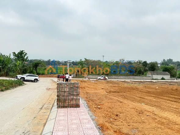 Đất Nền Tam Dương 100m² Sổ Đỏ Sẵn - Giá Đầu Tư 8xx Triệu