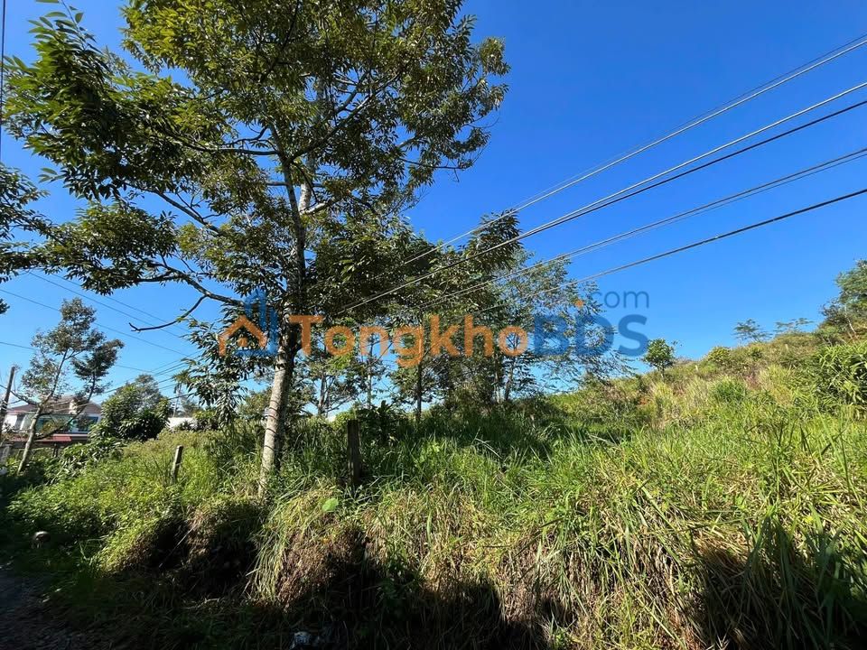 Đất thổ cư 189m² full sổ, ô tô vào tận nơi - Bảo Lộc, Lâm Đồng