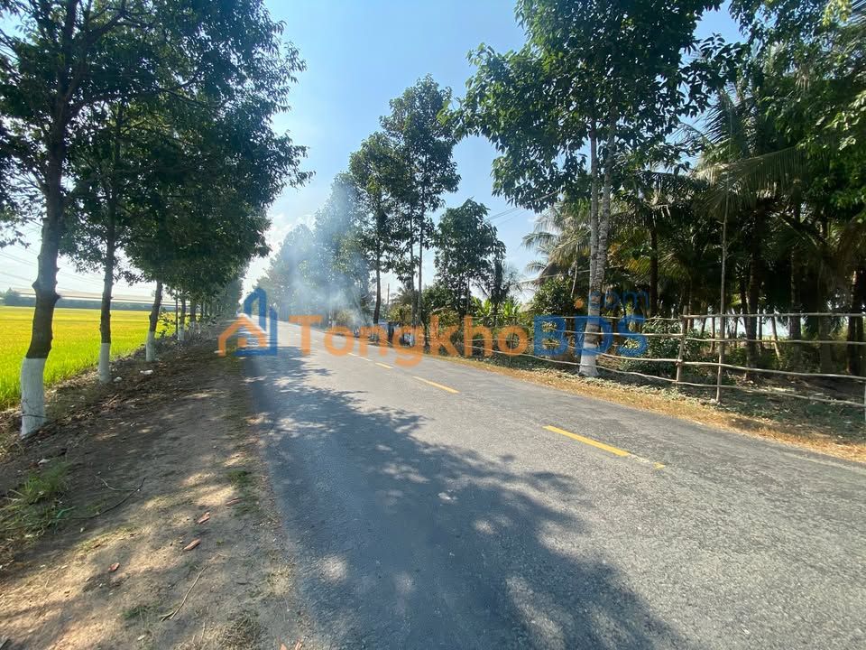 Đất nền 400m² Tuyên Bình, Long An - Mặt tiền 40m, Thổ cư 100% - Đầu tư sinh lời