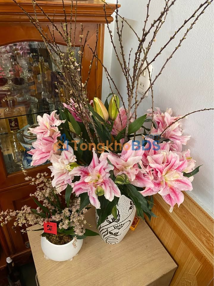 Bán Đất Vàng Hoàng Hoa Thám, Tân Bình 3000m² - Cơ Hội Đầu Tư Vô Giá