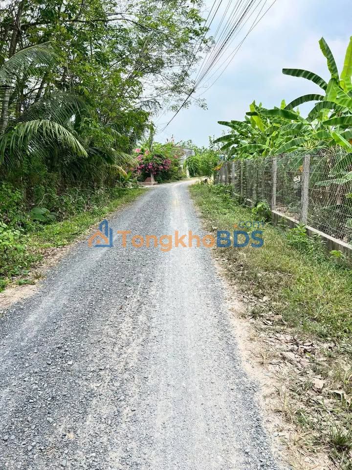 Bán đất An Biên 105m² ODT full thổ cư, gần QL22B giá chỉ 2xx triệu