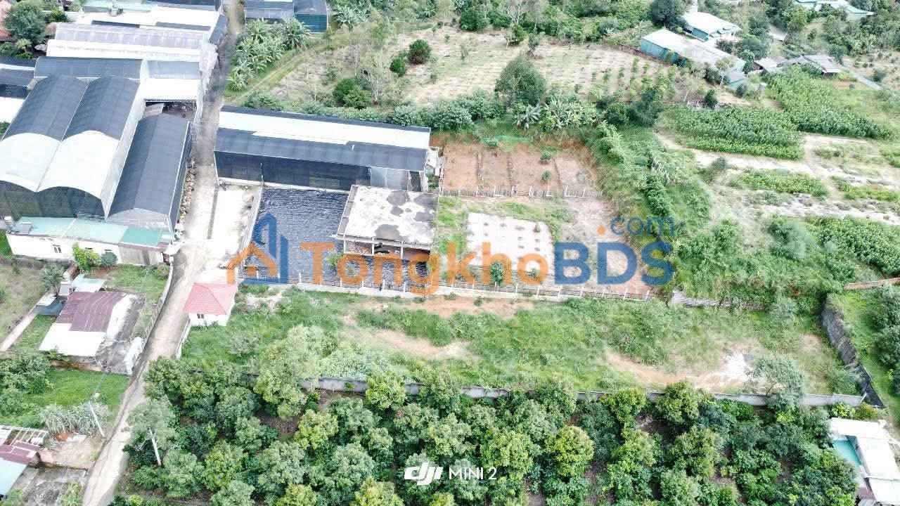 Bán Gấp 2 Lô Đất Vũng Tàu 4736m² Hẻm Chi Lăng - Giá Tốt