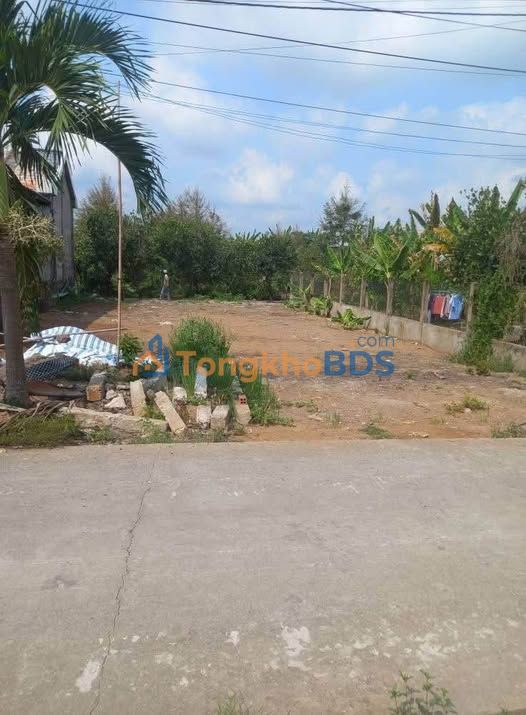 Đất nền Mỹ Hạnh Đông, Tiền Giang - 144m² Sổ đỏ, Giá 450 triệu, Bao Giấy Tờ