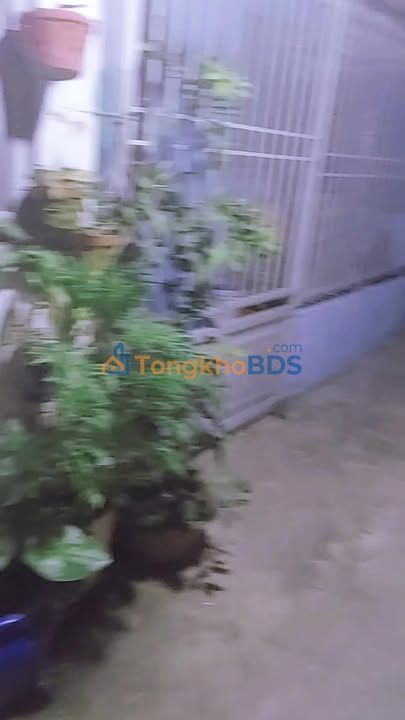 Cho thuê nhà nguyên căn Nhà Bè 35m² - 2PN, Sẵn Sàng Ở Ngay