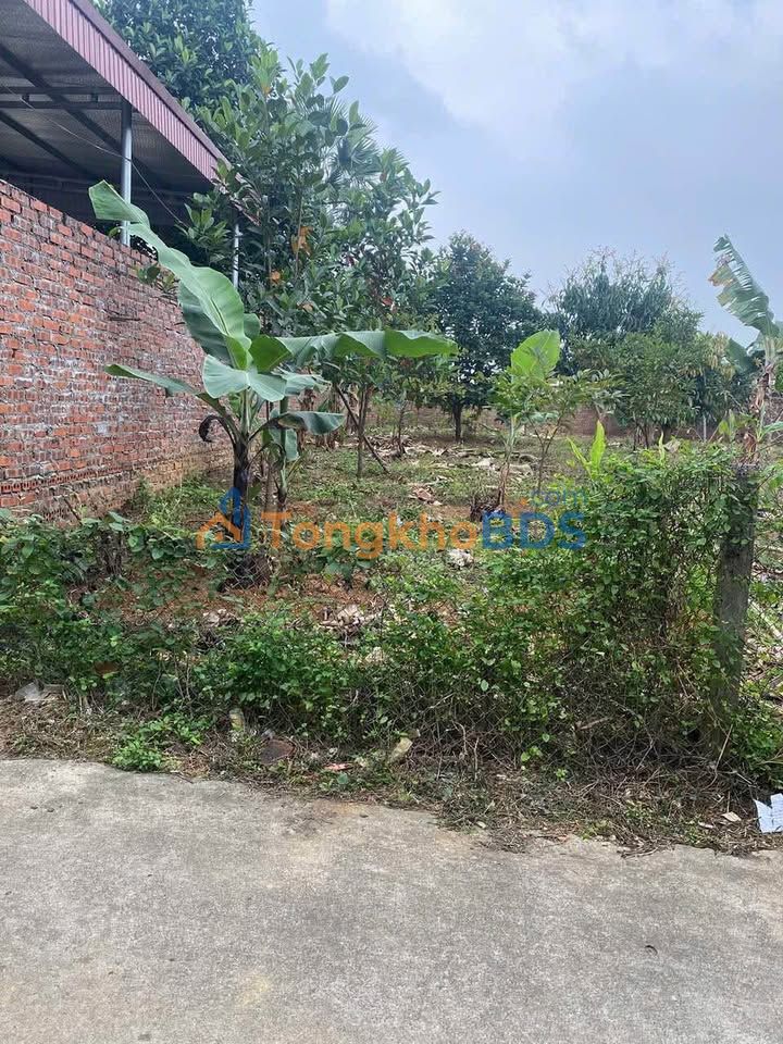 Đất nền Vĩnh Yên 113.6m² Full Thổ Cư - Sẵn Sàng Xây Nhà, Giá 1.7 Tỷ