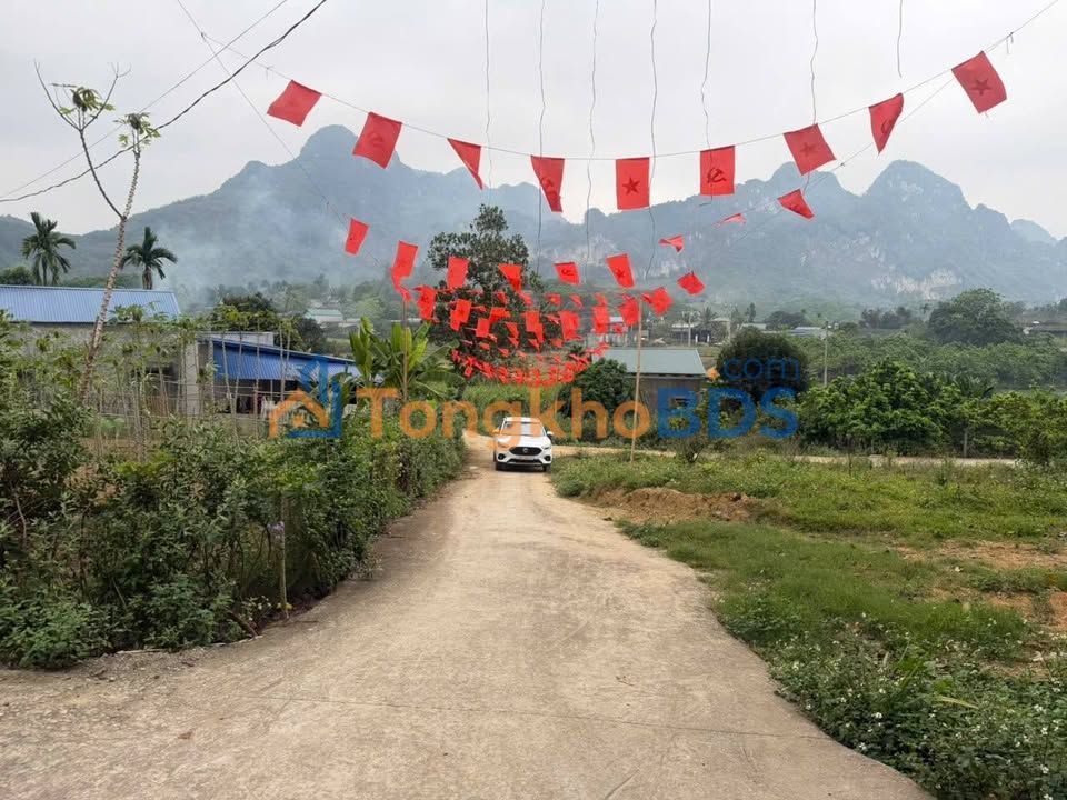 Bán Gấp Đất Vàng Cao Phong, Hòa Bình 450m² Sổ Đỏ - Ô Tô Vòng Quanh