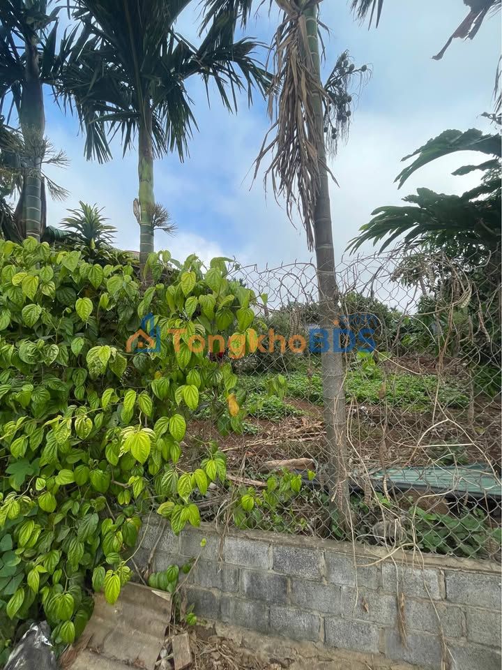 Đất nền mặt tiền Phan Huy Chú, Krông Pắc - 180m² thổ cư, giá 2.8 tỷ