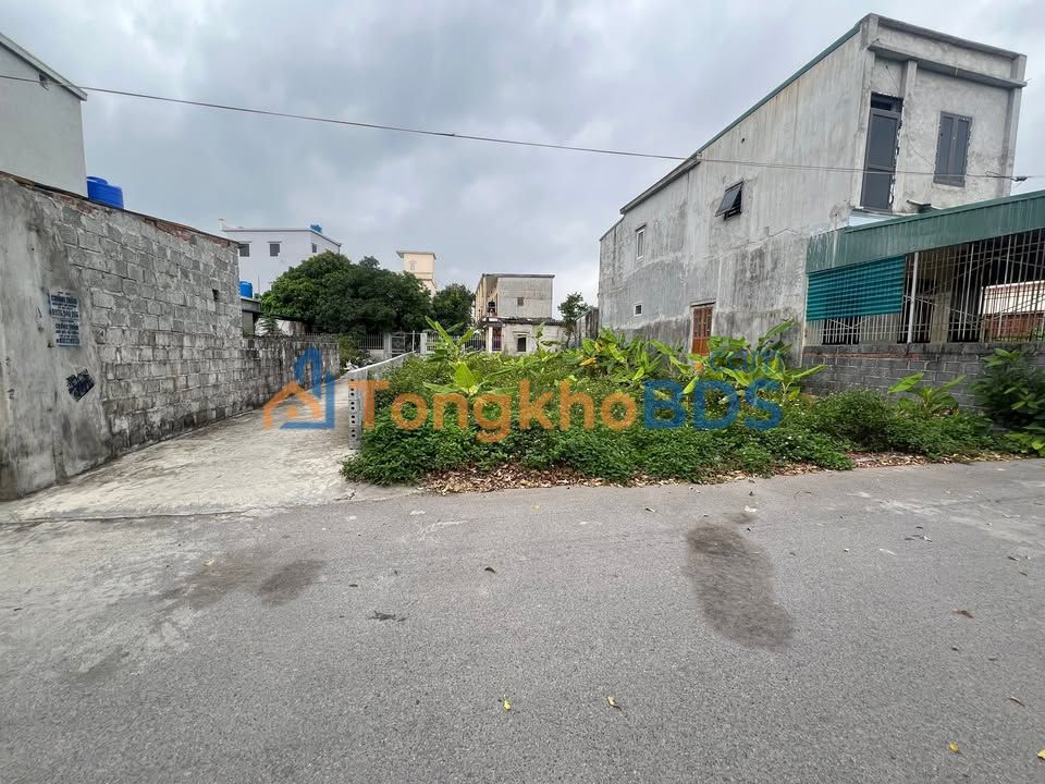 Đất Nền Góc Tiền Hải 100m² - Kinh Doanh Giá Tốt 1.4 Tỷ