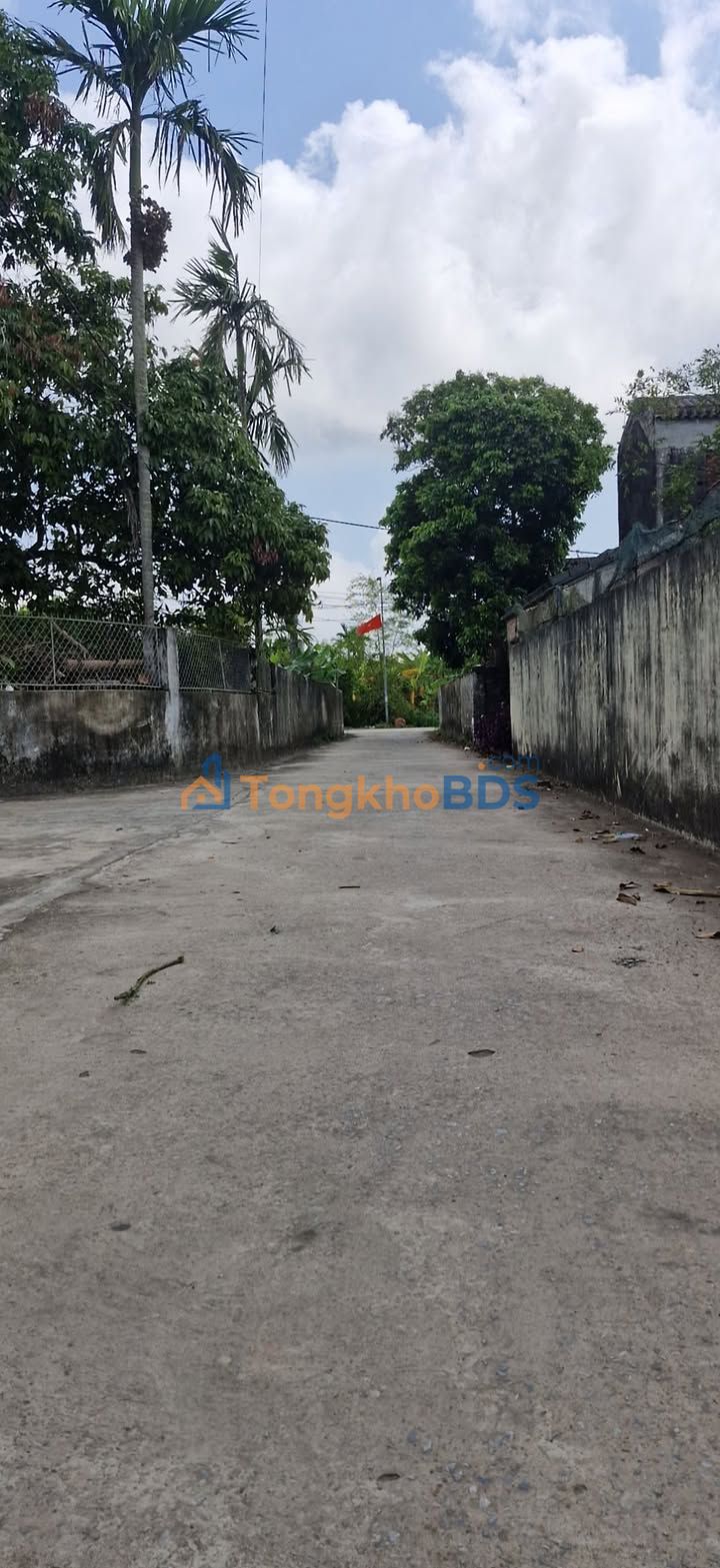 Bán Đất Nền Nam Chính Tiền Hải 119m² - Mặt Tiền 5m Ô Tô Thông