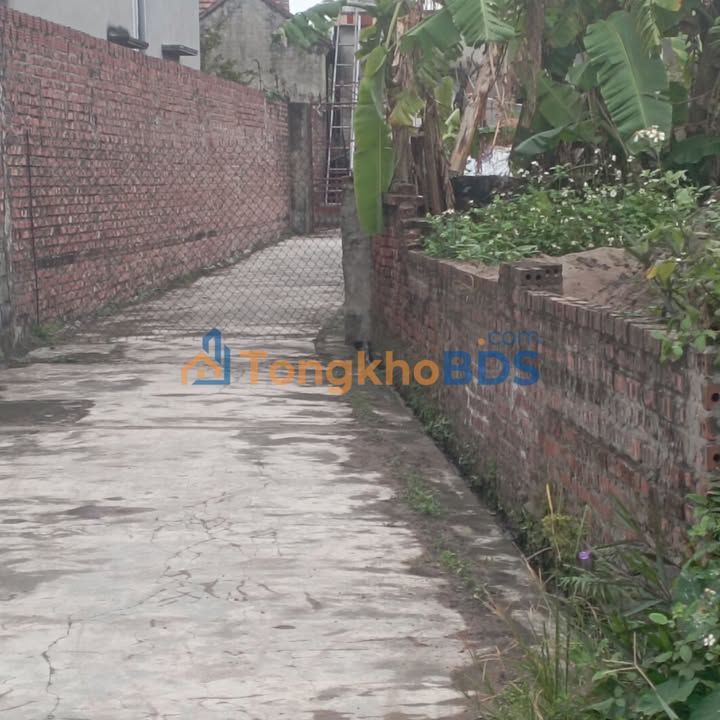 Bán đất thổ cư 60m² Thái Thụy, Thái Bình - Giá 6xx triệu