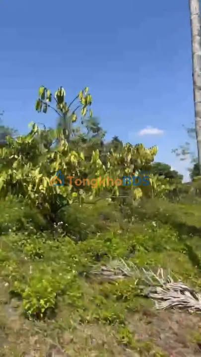 Bán Gấp Đất Vườn 14.000m² Xã Lộc Bằng, Phú Lộc - Giá Đầu Tư 1.1 Tỷ