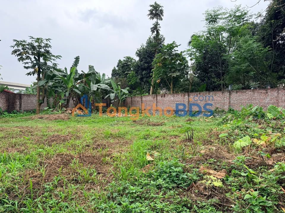 Bán Đất Lô Góc Kinh Doanh Hoài Đức 360m² - View Đồng, Đường Nhựa