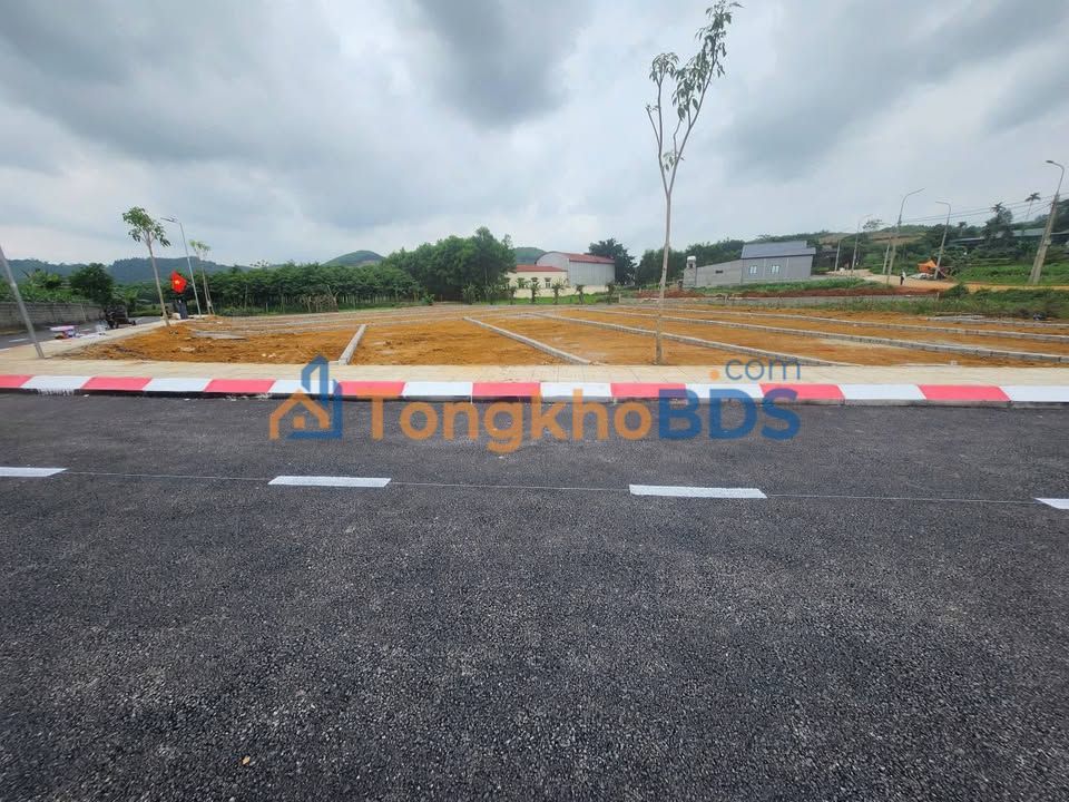 Đất Vàng Thọ Xuân 154m² Sổ Đỏ - Sát KCN Lam Sơn Sao Vàng