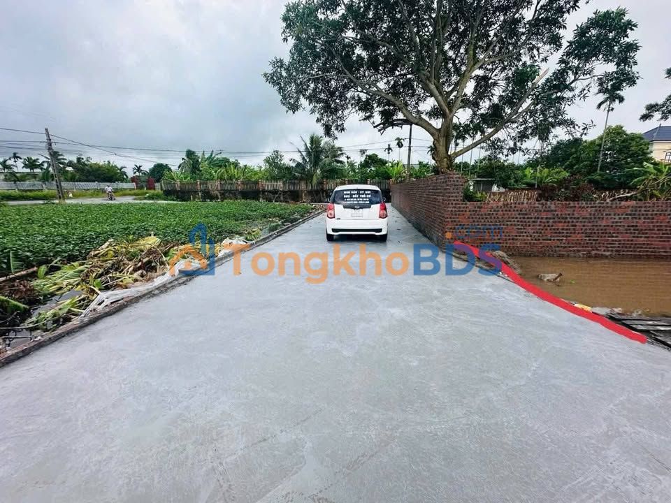Bán đất thổ cư Thái Thụy 71m², ô tô vào tận nơi, gần chợ Lục