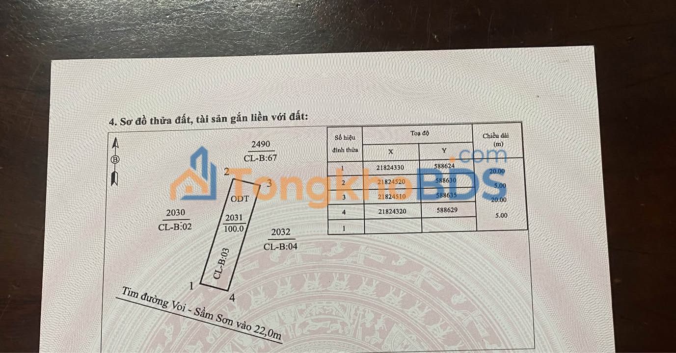 Bán 2 Lô Đất Vàng Xã Quảng Minh, Sầm Sơn 100m² - Sổ Đỏ, Giá Tốt