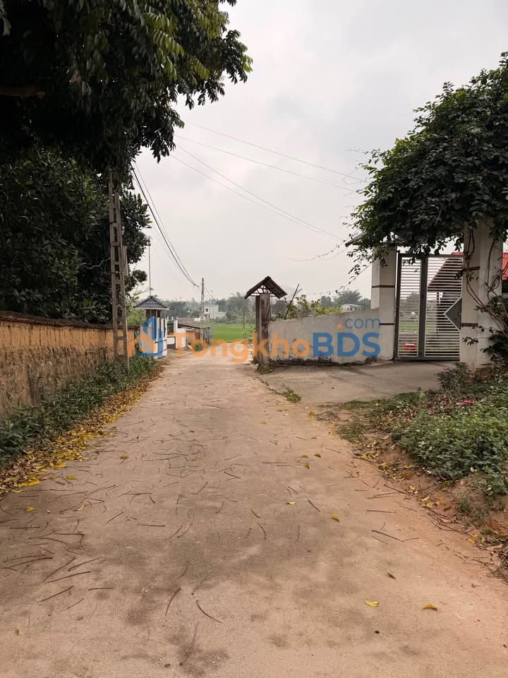 Đất nền Tam Dương Vĩnh Phúc 99.5m² - Sổ đỏ TC, giá đầu tư 1.1 tỷ