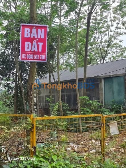 Bán Đất Phượng Lâu, Việt Trì 139.6m² - Lô Góc Thoáng, Kinh Doanh Đỉnh