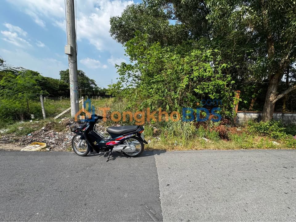 Đất nền Củ Chi 270m² mặt tiền Bùi Thị Lành - Sổ hồng sẵn, xây dựng tự do