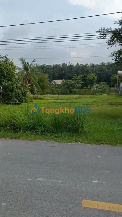 Đất Vàng MT An Nhơn Tây, Củ Chi - 950m² Sổ Đỏ, Giá 4.2 Tỷ