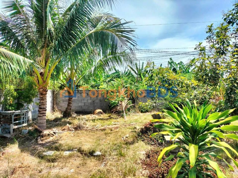 Đất nền Vĩnh Hiệp, Nha Trang 67.6m² - Sổ hồng full thổ cư, giá tốt