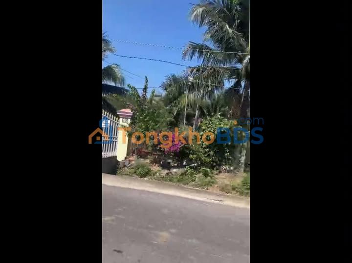 Đất Vườn Tỉnh Lộ 8 Diên Khánh 12.000m² - Giá 2.5 Tỷ, Sẵn Vườn Xoài