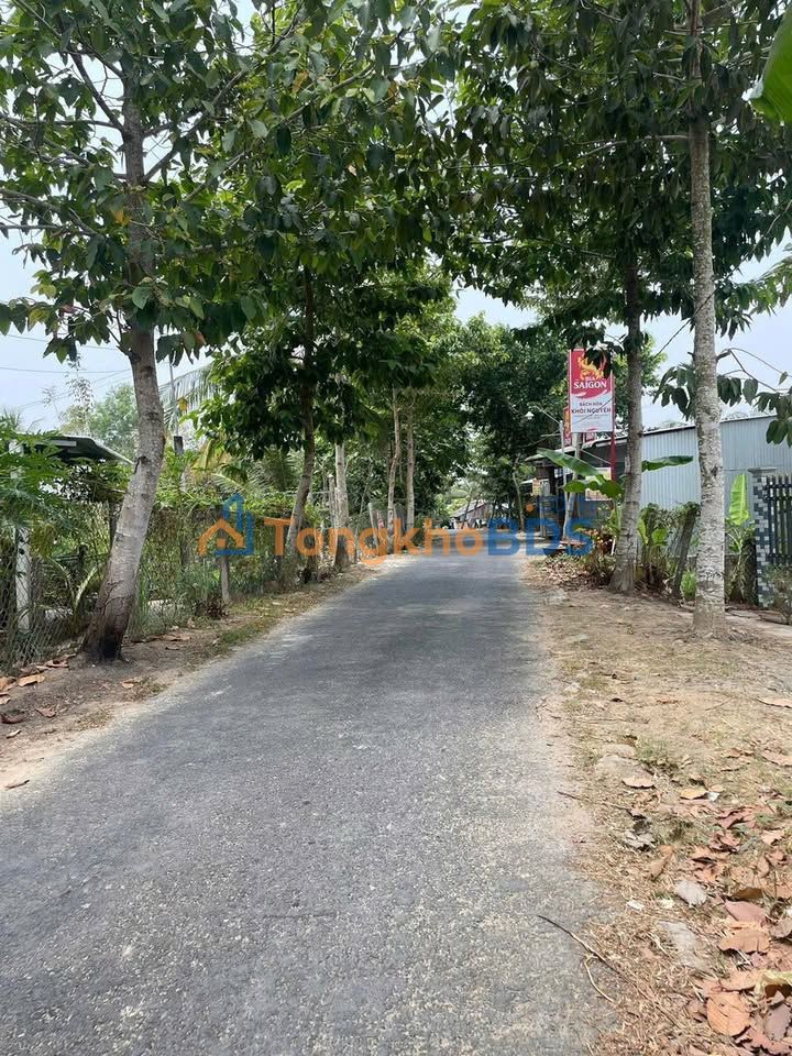 Đất Nền Cây Gòn, Vĩnh Long - 159m² Gần KCN, Giá 560 Triệu