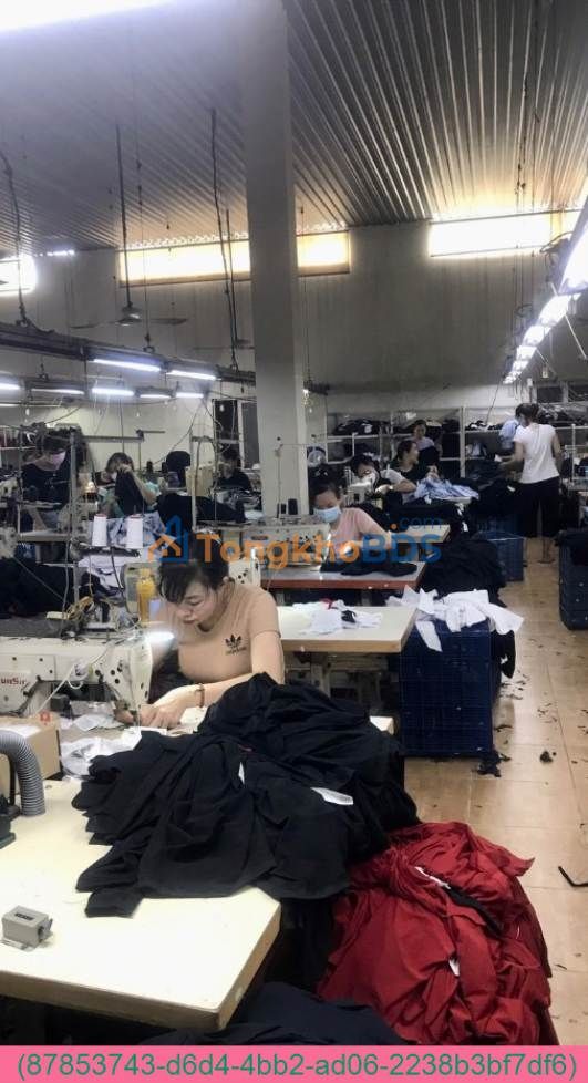 Bán xưởng góc 2 mặt tiền 1000m² Hóc Môn - Giá 20 tỷ, kinh doanh/kho bãi