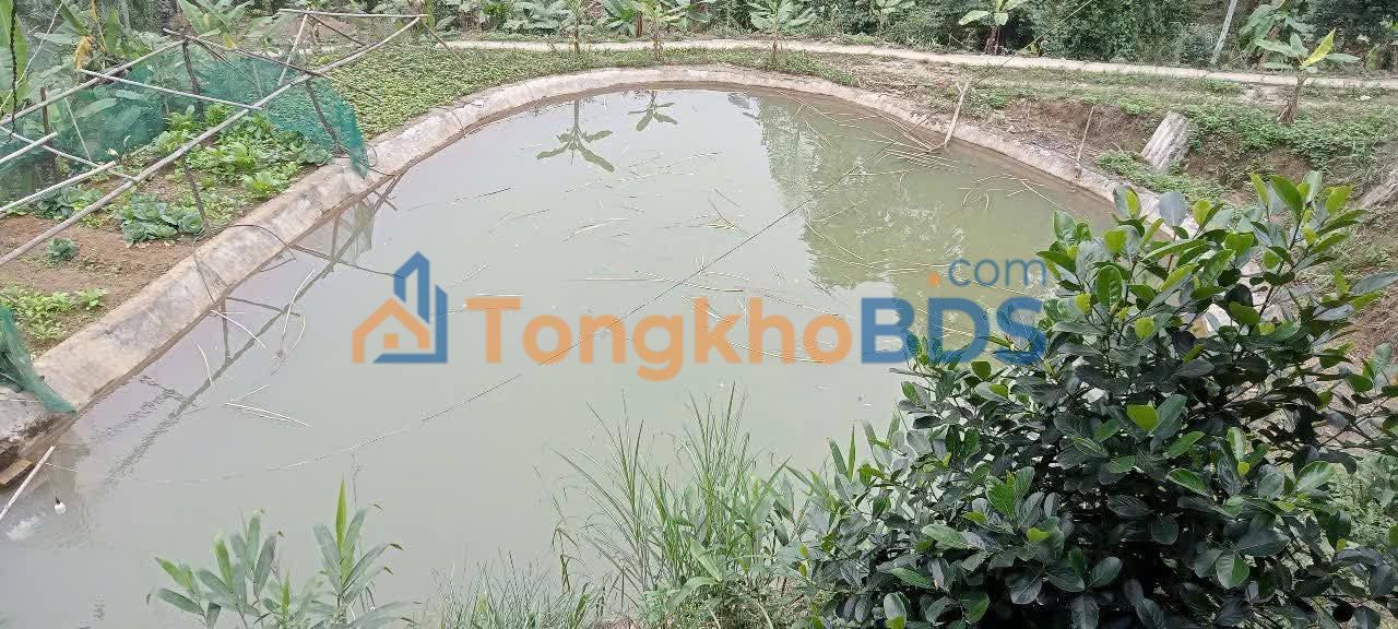 Bán Gấp Trang Trại 28ha Lào Cai - Sẵn Sàng Kinh Doanh