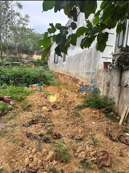 Bán đất thổ cư 120m² Phường Nông Tiến, Tuyên Quang - 760 triệu