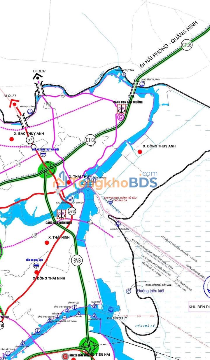 Bán Nhanh 2 Lô Đất Đấu Giá 90m² Thái Thụy, Thái Bình - Sát QL37B