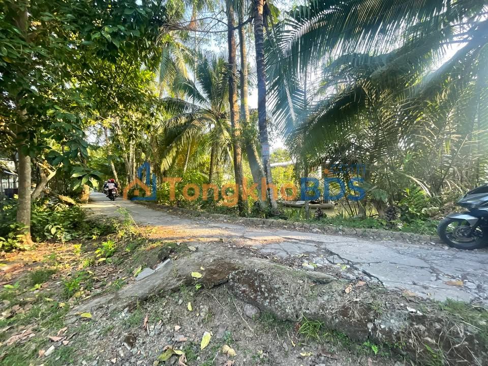 Bán Nền Mặt Tiền Rạch Chuối Cần Thơ - 658m² Giá 2.99 Tỷ