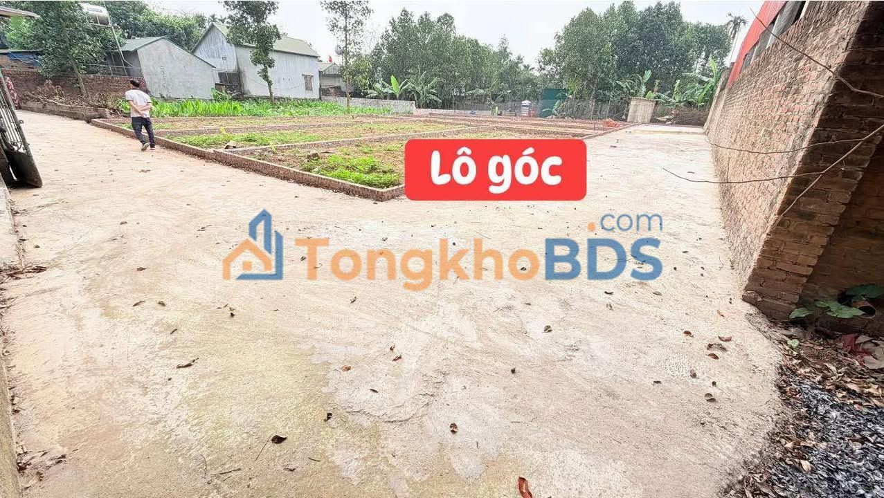 Đất Thị trấn Đông Anh 80m² - Ô tô đỗ cửa, Dân cư sầm uất - Giá 1.7 tỷ