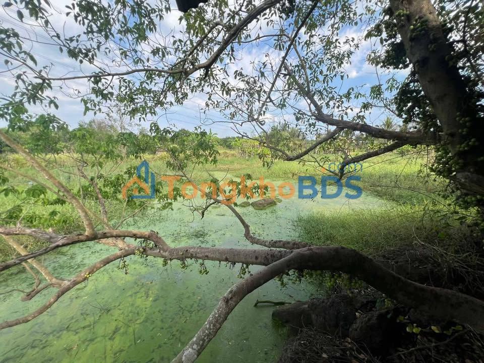 Bán gấp trang trại 7000m² view hồ, sổ đỏ tại Trảng Bom, Đồng Nai - Giá 3.2 tỷ