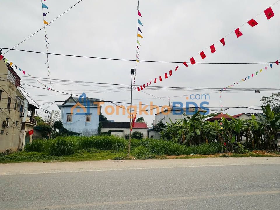 Đất Vàng Đồng Mít Thanh Oai 112.7m² - Mặt Tiền Tỉnh Lộ 429