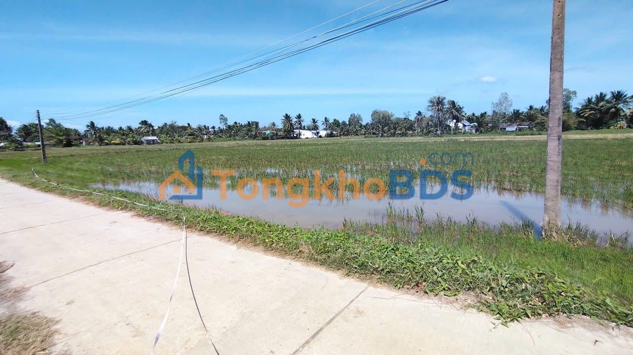 Đất Sóc Trăng 1000m² - Sẵn Sàng Xây Nhà Vườn/Đầu Tư