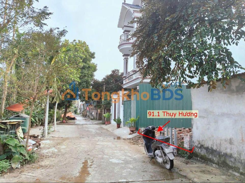 Đất Thổ Cư 91.1m² Thụy Hương, Chương Mỹ - Kinh Doanh, Đầu Tư Sinh Lời