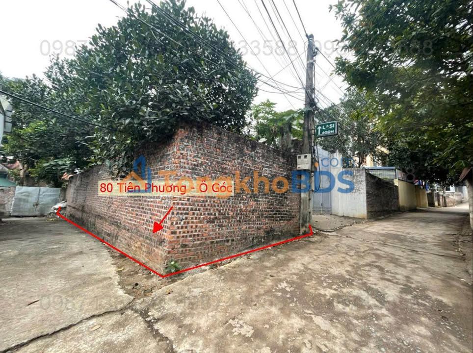 Bán Đất 80m² Tiên Phương, Chương Mỹ - Ô Tô Tận Nơi, Gần QL6A