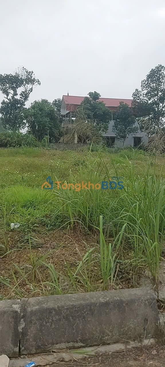 Đất nền 250m² Chương Mỹ - Sổ đỏ sẵn, giá dưới 2 tỷ