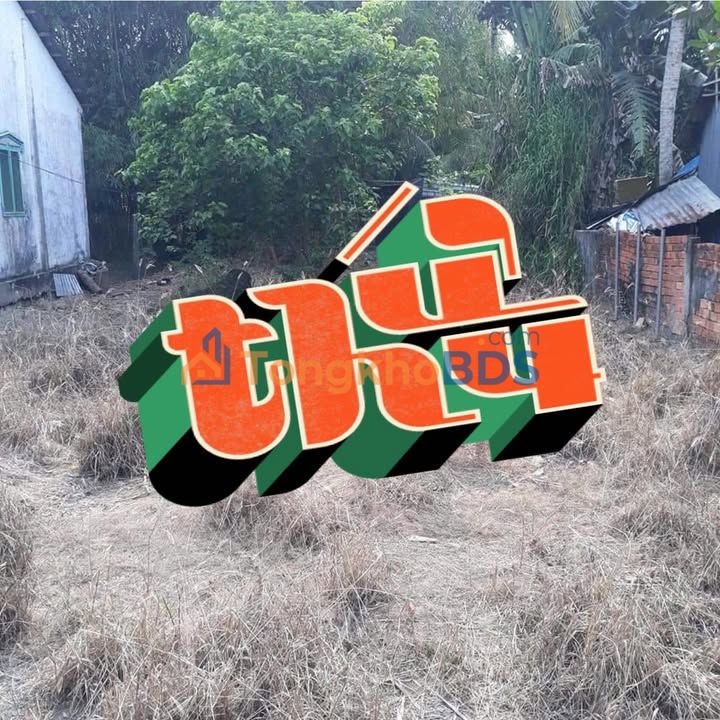 Bán Gấp Đất Thổ Cư 280m² Thới Lai - Sổ Đỏ Sẵn, Giá 650 Triệu