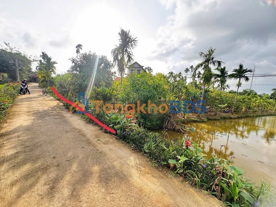 Đất nền Phong Điền 125m² giá 3xx triệu - View đồng mát mẻ, sát hồ sen